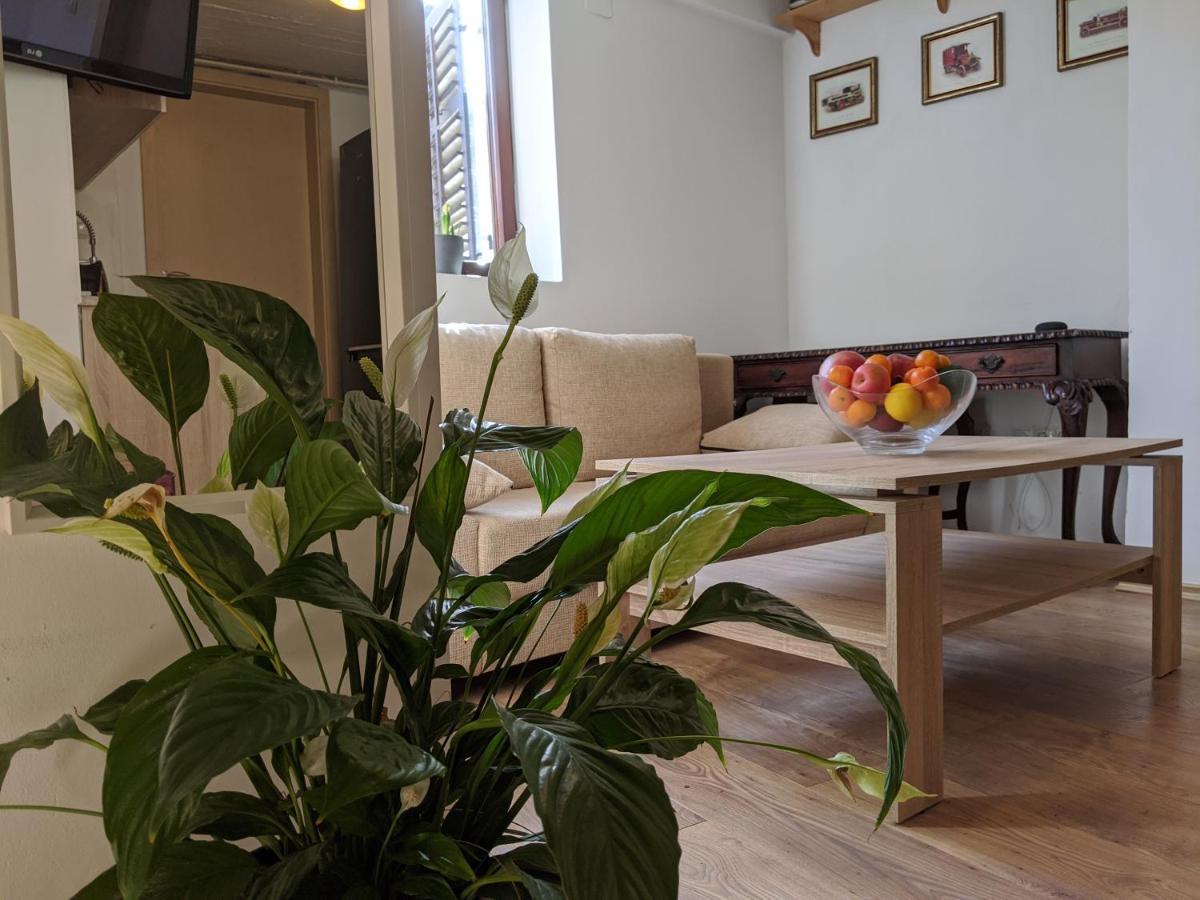 Twin-Magnolias Condo With Garden, Parking & Ev Station Zagreb Ngoại thất bức ảnh