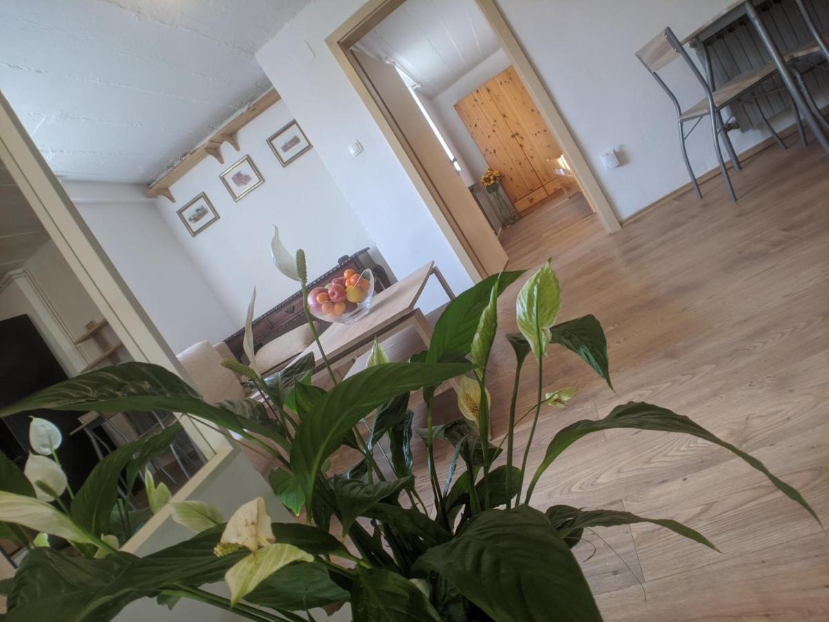 Twin-Magnolias Condo With Garden, Parking & Ev Station Zagreb Ngoại thất bức ảnh