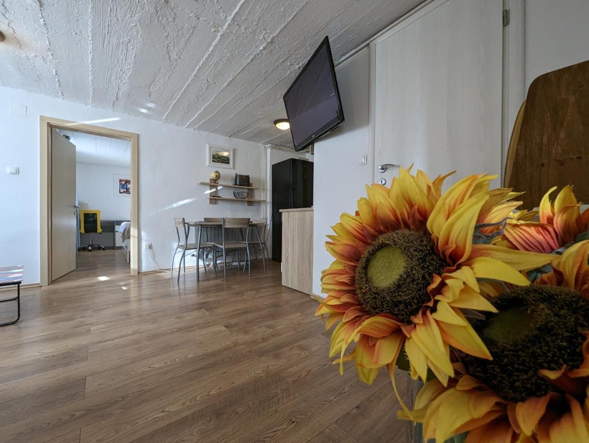 Twin-Magnolias Condo With Garden, Parking & Ev Station Zagreb Ngoại thất bức ảnh
